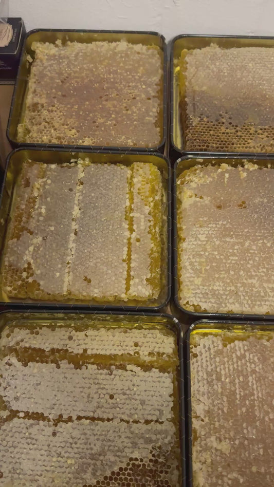 01- Bingöl Petek Bal 1 kg